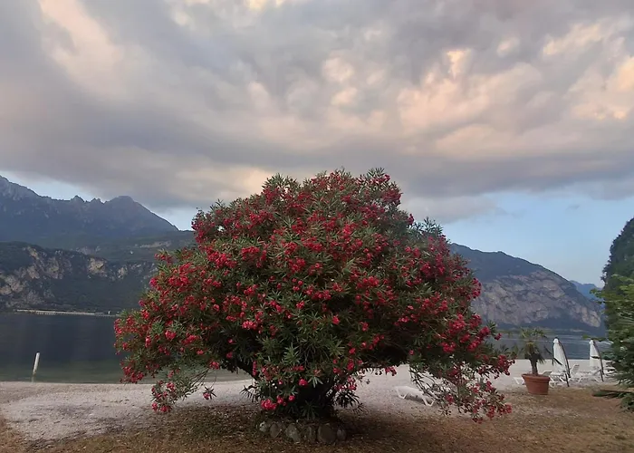 Nautilus 3* Valmadrera